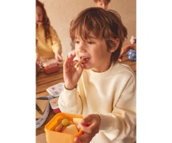 3 Cajas Almuerzo Geometric Nature