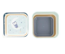 3 Cajas Almuerzo Magical Forest