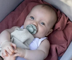 2 Chupetes BIBS De Lux Sage/Hunter Green Silicona