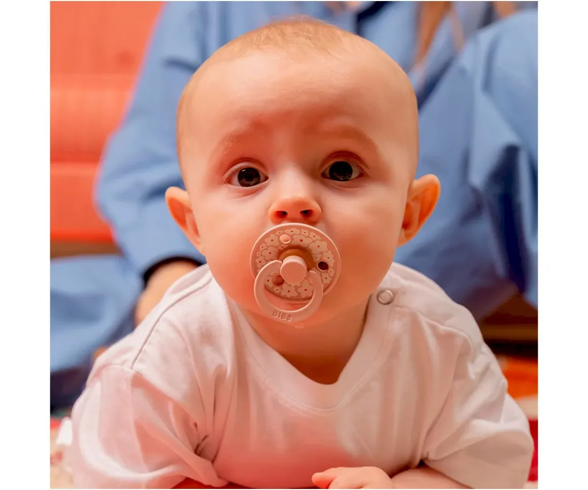 2 Chupetes BIBS Studio Colour Round Jasmine Blush Mix