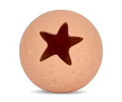 2 Pelotas Mordedor Dino Quarry Rose Mix