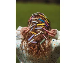 2 Pinzas para el Pelo Flying Dog