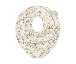 2 secababitas Lierre