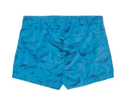 Bañador Sea Life Azul