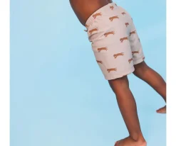 Bañador Short Roamer