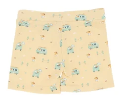 Bañador Short Surf Van