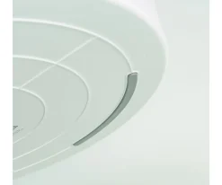 Bandeja Sensorial PlayTray con Compartimentos y Tapa Extraíbles