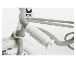 Bicicleta Banwood sin Pedales Icon Sage