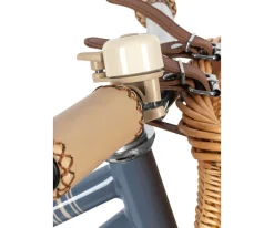 Bicicleta sin Pedales Blue Stripe