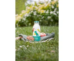 Botella Térmica Cooly Acero Inox Dinos 350ml