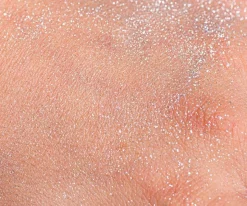 Brocha & Polvos Brillantes Plata