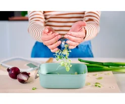 Caja de Almuerzo Easyclip 450ml Nordic Sage