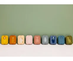 Caja de Almuerzo Grande Mr. Shark