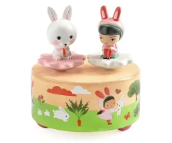 Caja de Musica Garden Melody