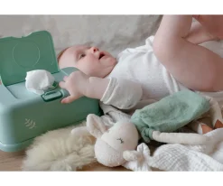 Caja Toallitas Funkybox Menta Hojas