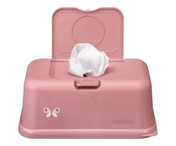 Caja Toallitas Funkybox Rosa Mariposa