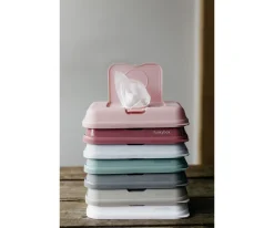 Caja Toallitas Funkybox to Go Plata Estrellas