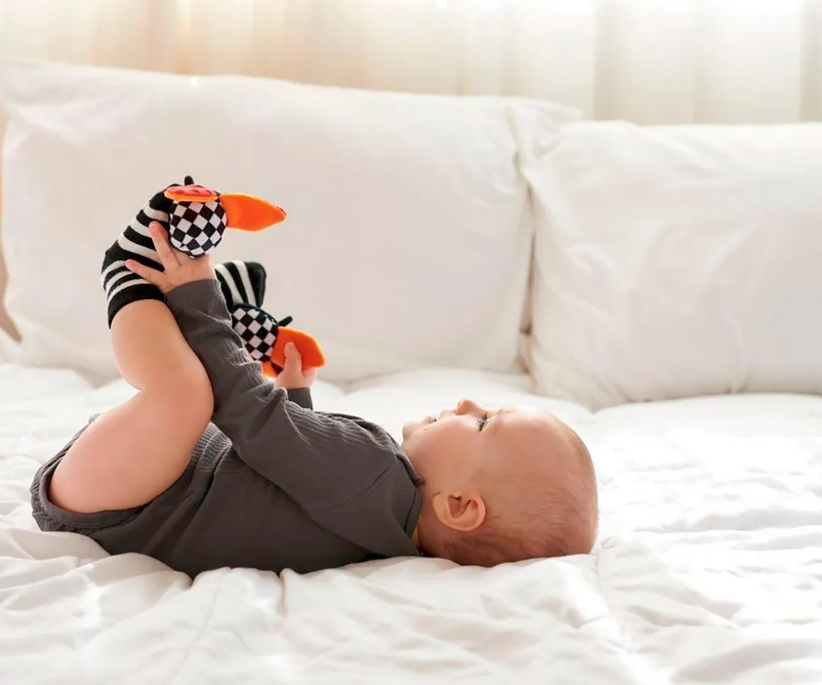 Calcetines Estimulación Ladybug