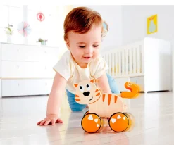 Gatito Dante Push And Go