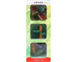 Juego Encajable Earth