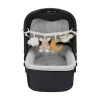Juguete Carrito Newborn Naturals