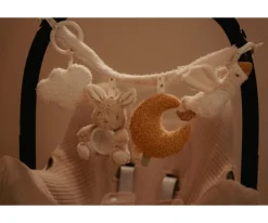 Juguete Carrito Newborn Naturals