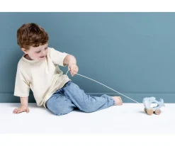 Juguete de Arrastre Mr. Shark