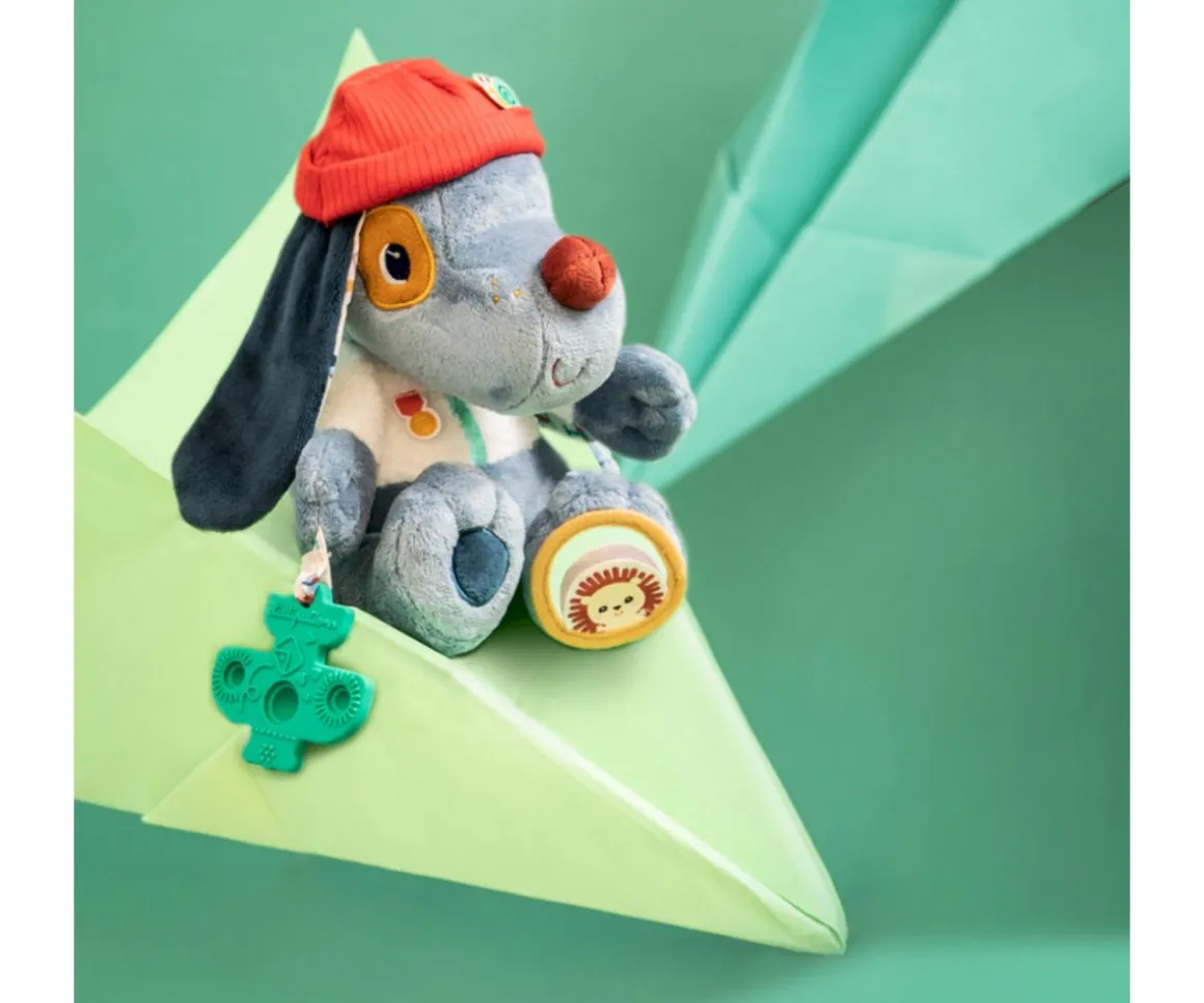 Jules El Perro Multi Actividades