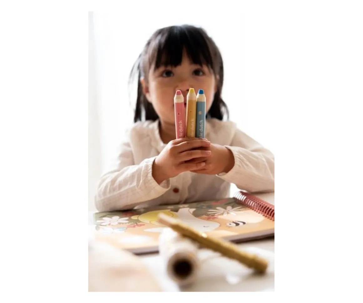 Libro Mágico para Colorear Jardín de Rosa y sus Amigos