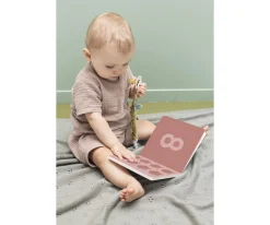 Libro Para Contar All Animals