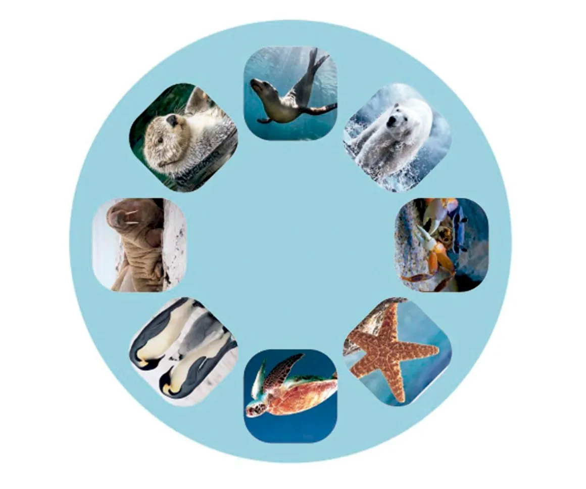 Linterna Proyector Océano