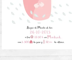 Lámina Personalizada Nacimiento Rosa