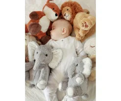 Louis Lion Smart Sensor®