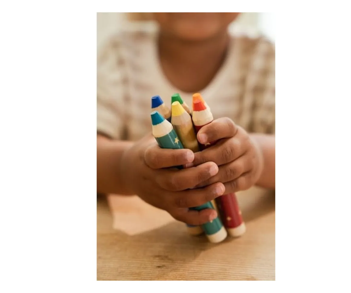 Lápices Gruesos Colores Jim