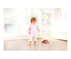 Mariquita Clasificadora de Formas