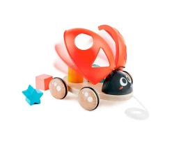 Mariquita Clasificadora de Formas