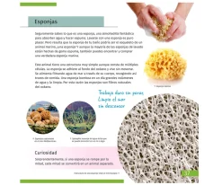 Microscopio Levenhuk LabZZ M101 Azul + Libro Educativo