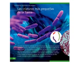 Microscopio Levenhuk LabZZ M101 Gris + Libro Educativo