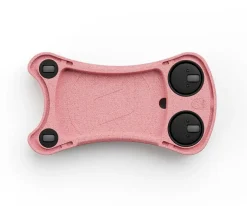 My First Correpasillos Rose