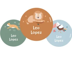 Pack 3 chapas Personalizadas Savannah