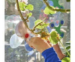 Pack Window 24 Piezas