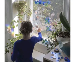 Pack Window 24 Piezas