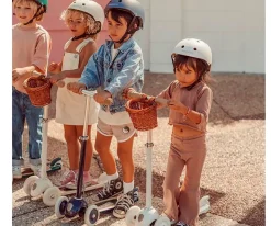 Patinete Banwood Rosa