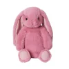 Peluche Conejito Pink Smiling Leveret Personalizable con Bolsita de Lavanda