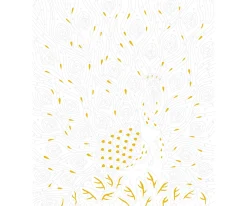 Pintura Por Números Pájaros Fabulosos