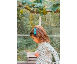 Pinza para Pelo con Lacito Laguna