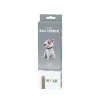 Plastilina Interactiva Bull Terrier (3 colores)