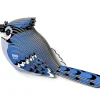Puzzle 3D Eugy Blue Jay