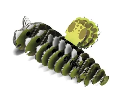 Puzzle 3D Eugy Triceratops