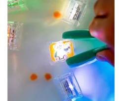 Set de Cubos Sensoriales Lumoinosos Party Zoo